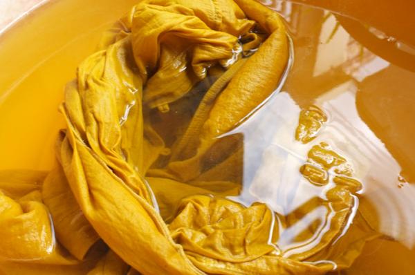 Image for event: Fabric Dyeing with Natural Materials