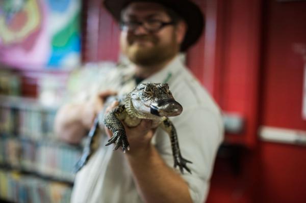 Image for event: In-Person: Meet a Gatorland Wrangler