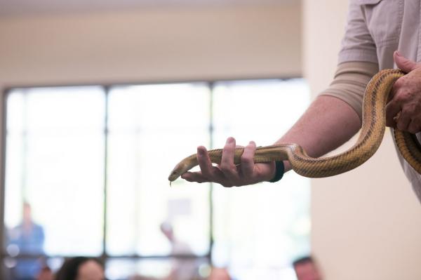 Image for event: Snake Education with a Twist
