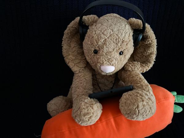 Image for event: Virtual Event: Teddy Bear Storytime